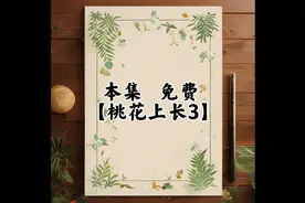 第3集｜【桃花上长】要和离