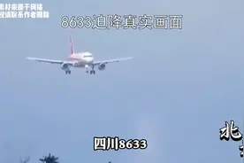 四川8633迫降的真实画面！机长刘传建拯救128人！视频封面