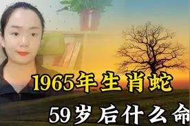 1965年生肖蛇的辉煌人生，过了59岁后是什么命运？你怎么看待视频封面