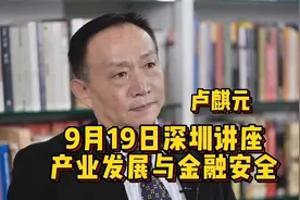 卢麒元：产业发展与金融安全视频封面