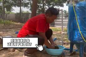 如果你感到疲惫，试着放慢脚步，欣赏一下路边之前不曾注意的风景