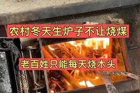 农村冬天不让烧煤，老百姓每天只能烧木头，日子是越过越苦！视频封面