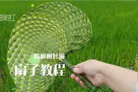 棕叶编织扇子教程，用树叶编一把好看的扇子吧！太有趣了！