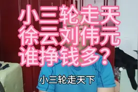 小三轮走天下，徐云，刘伟元，三人谁挣钱多？视频封面