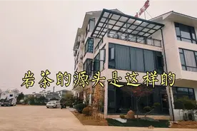 东北人来福建寻找岩茶的源头，岚姨夫妇带大家走入武夷山源头茶厂
