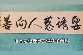 谁老眼昏花，看不见好人坏人了？视频封面