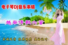 电子琴DJ纯音乐《越南情歌》六首串烧，经典动感，美好视听