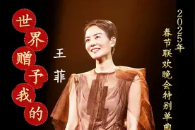 2025年春节联欢晚会特别单曲《世界赠予我的》，王菲惊喜献唱视频封面