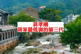 蒋孝刚：蒋家最低调的第三代视频封面