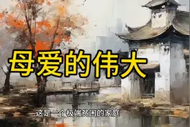 母亲为了儿子的尊严和未来，不畏辛苦和委屈视频封面