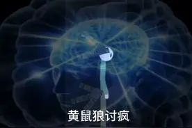⚡️你 看 我 像 人 还 是 像 神⚡️视频封面