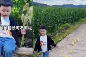 多肉说去幼儿园问问园长能不能带小鸭鸭一起去，真敢想啊😂视频封面