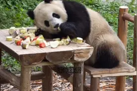 渝爱：我是一只摆烂的小熊熊只想趴着，起不来根本起不来🤣视频封面