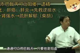 倪海厦:四十三巴戟天，治阳痿，遗精，补肾强水视频封面