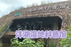 洋湖湿地科普馆——洋湖湿地公园内  长沙旅居(14) 20240605视频封面