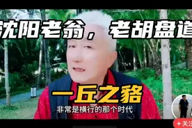 沈阳老翁，老胡盘道社会风气变坏的根源视频封面