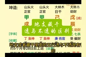 地支藏干透与不透的区别！视频封面