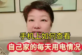 手机上如何查看？自己家的每天用电情况