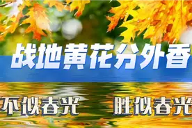 毛泽东词《采桑子·重阳》寥廓江天万里霜 抒发革命家的壮志豪情视频封面