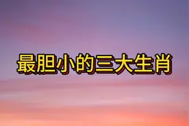 最胆小的三大生肖视频封面