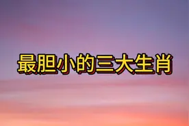 最胆小的三大生肖视频封面