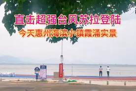 直击超强台风苏拉登陆，今天惠州海滨小镇霞涌实景