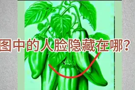 这个图能找到人脸，绝对是牛人，找到三张，我叫你爹！来吧找找…视频封面