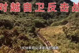 对越自卫反击战：一口气看完对越自卫反击战，太解气了！视频封面