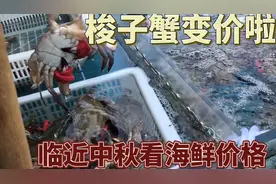 山东梭子蟹变价厉害，看9月5卖多少钱一斤？大吃一惊