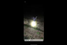 捕捉野兔的小窍门。用了这一招。哈巴狗也能补到兔子  纯干货。视频封面