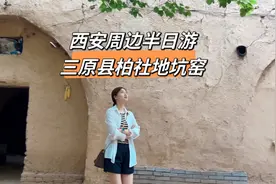 西安周边半日游，三原县柏社地坑窑洞，素有“见树不见村视频封面