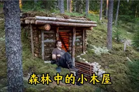 荒野建造，森林中的小木屋，让心慢下来视频封面