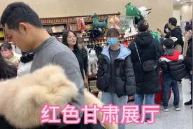 甘肃省博物馆之红色甘肃展厅！视频封面