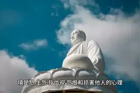 嗔这个字到底是什么意思？这个字，我们怎么超越？研究研究视频封面