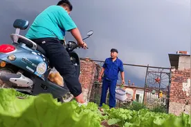 农村六旬老汉没有老婆，一个人煮饭吃饭，一个人生活，孤独却自由视频封面