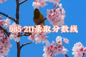 985 211 录取分数线，建议家长为孩子收藏～视频封面