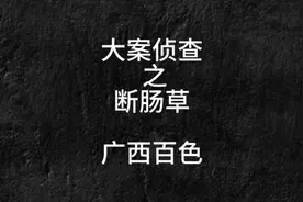 夜深了，驴来了，广西的驴友们，你们知道断肠草吗