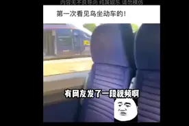 他在耍你啊！皇上。搞笑版视频封面