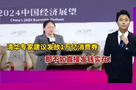 消费补贴更直接？清华专家建议发放1万亿消费券！不如发钱实在视频封面