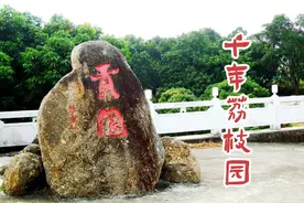 千年荔枝园，观古木奇景，尝人间美味视频封面