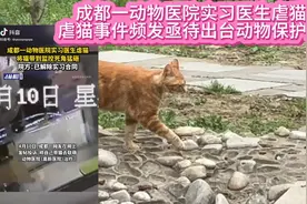 成都动物医院实习生虐猫，虐猫低龄化人增多，亟待出台动物保护法视频封面