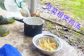 休整了几天再度出发，行走在路上太闷热了，挖苋菜根煲鸡汤补一补视频封面