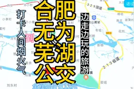 合肥到芜湖的公交线路来了，全程票价仅12元，清明回芜湖太方便视频封面