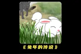 十二生肖兔子的传说视频封面