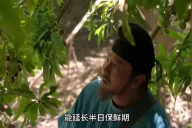 为了荔枝保鲜，李善德真是绞尽脑汁反复实验#长安的荔枝#雷佳音