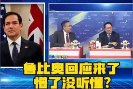 探索人猿星球，解锁神秘观察！