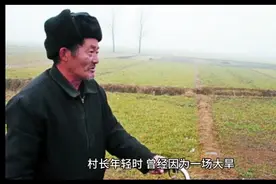 村长与村长儿子视频封面