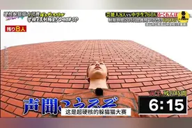 日本硬核躲猫猫大赛视频封面