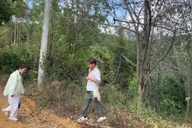 大哥和二嫂小温去摘山楂叶，山楂树很高，根本摘不了。视频封面