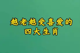 越老越受喜爱的四大生肖视频封面